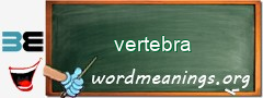 WordMeaning blackboard for vertebra